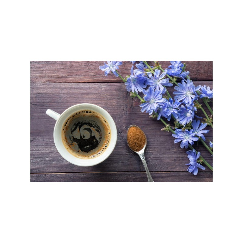 Instant napitek iz cikorije in regrata 100 g, Salomoni