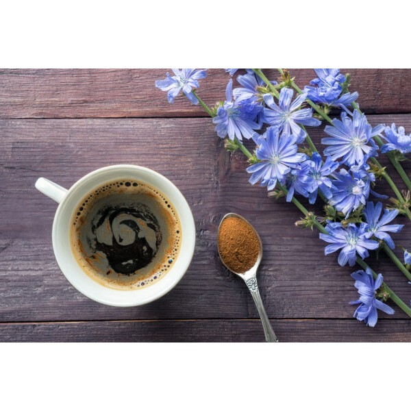 Instant napitek iz cikorije in regrata 100 g, Salomoni