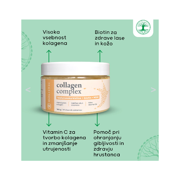 Kolagen Complex 160 g Holistic