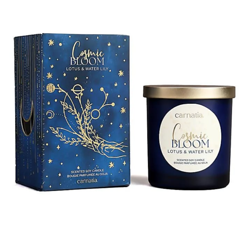 Sojina sveča Kozmični razcvet Carnatia