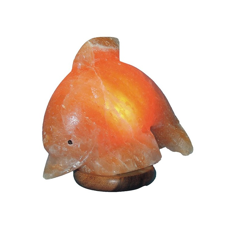 Himalajska Solna lučka Delfin, Solni tempelj