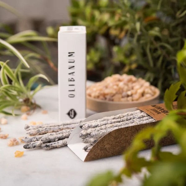 Sagrada Madre - zeliščno kadilo beli olibanum (frankincense)