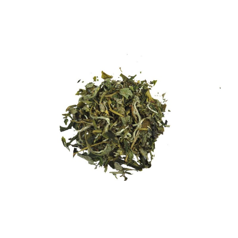 China white snow bud beli čaj 100g Cha