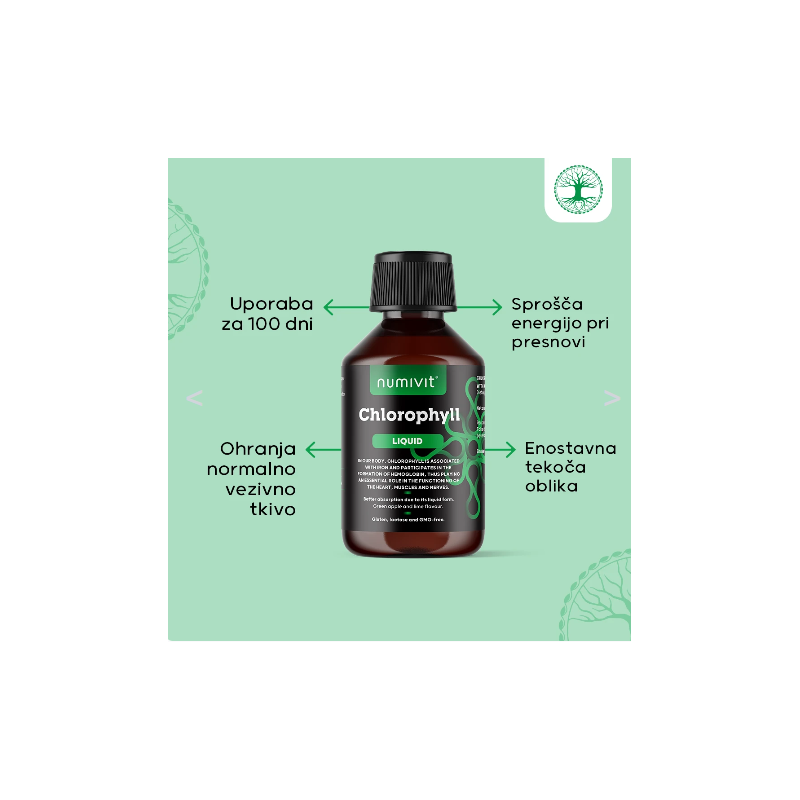 Tekoči klorofil 250 ml, Holistic