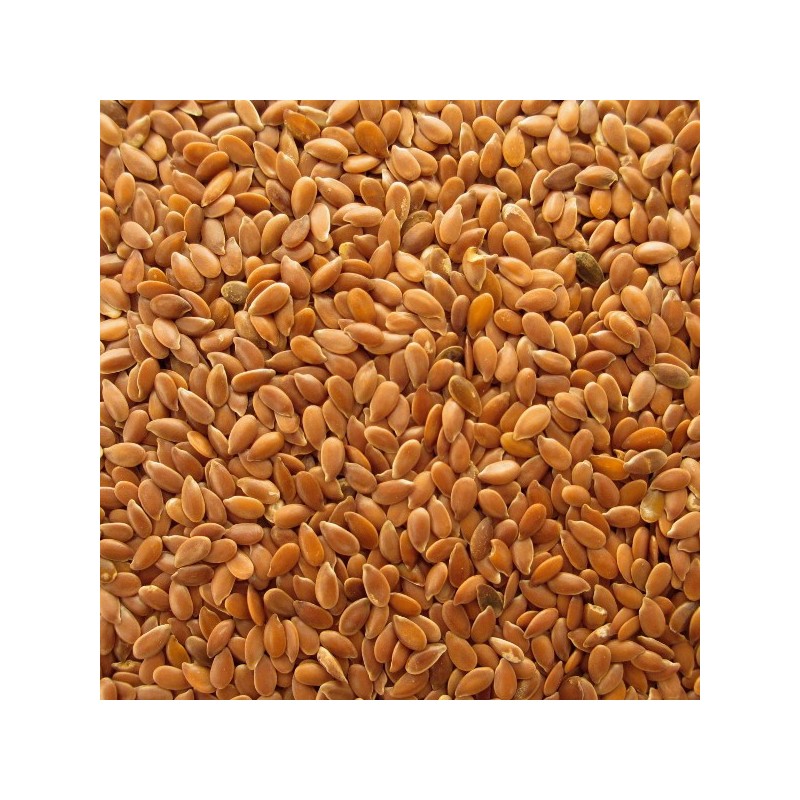 Eko laneno seme 250g Pečarič