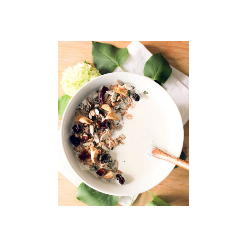 Bio Ajurvedski muesli sadno in pomirjajoče Pitta ravnovesje, 300 g, MadhuraVita